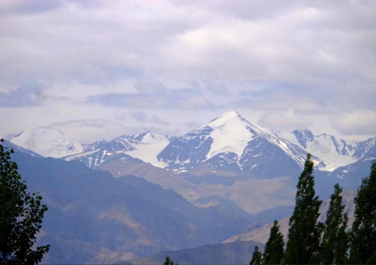 Hotel Ladakh Heaven Leh Esterno foto